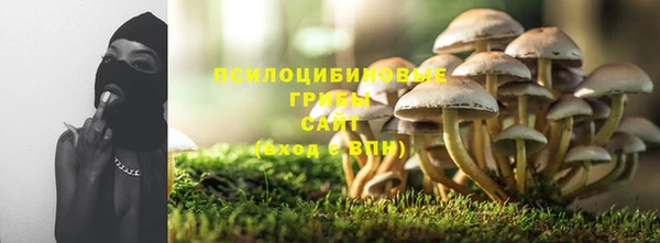 2c-b Инсар