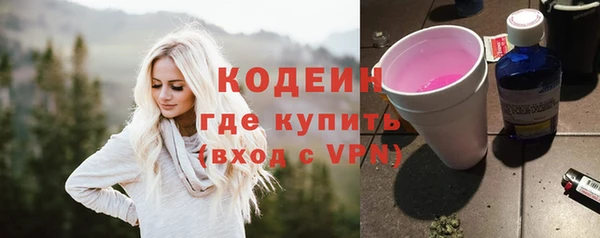 2c-b Инсар