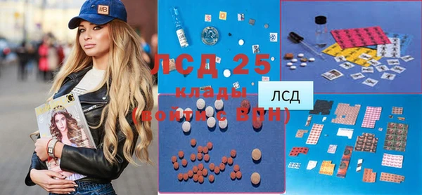 2c-b Инсар