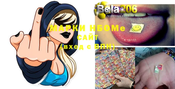 2c-b Инсар