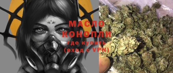 2c-b Инсар