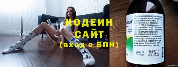 2c-b Инсар