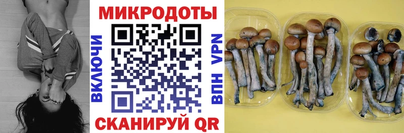 Купить закладки  Подпорожье  Галлюциногенные грибы MAGIC MUSHROOMS 
